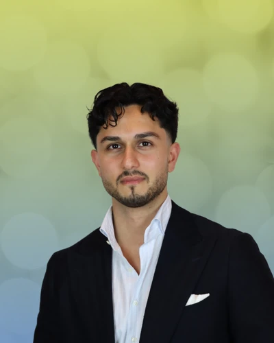 Ali Sair Consultant (2)